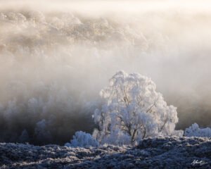 Murray Livingston — Long Lens Landscapes-4