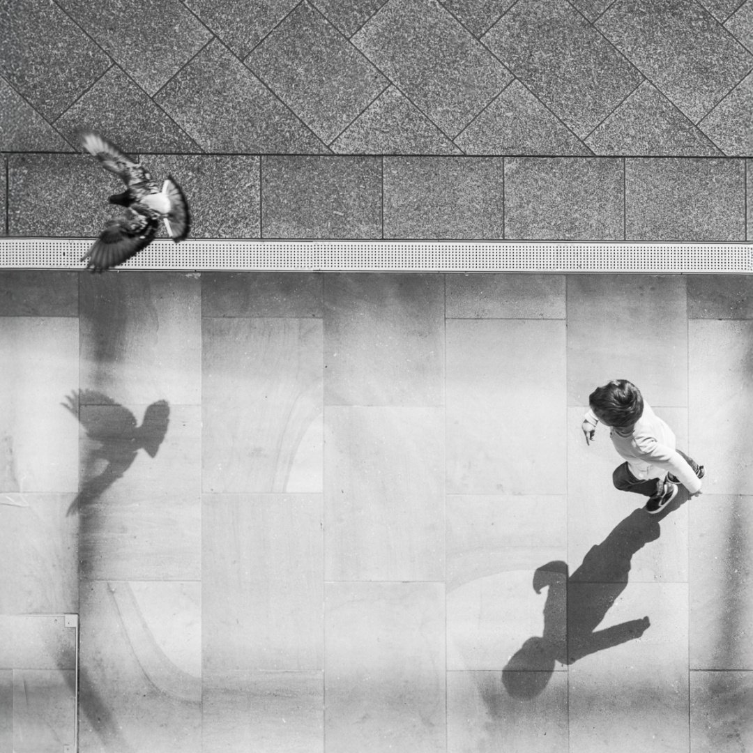 Mathew Lodge - The Chase.jpg