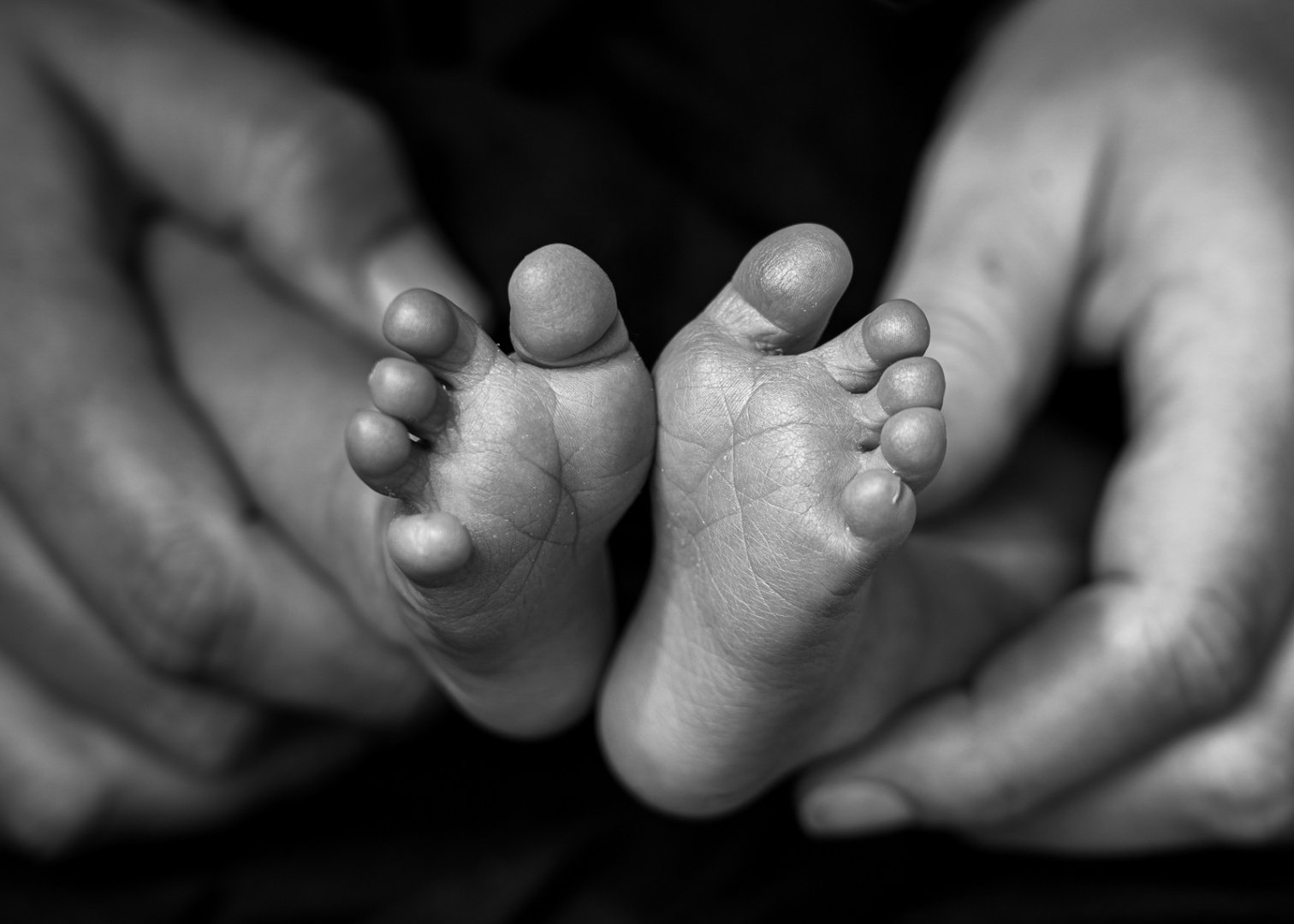 Willie Hall - Tiny Feet for OPS website.jpg