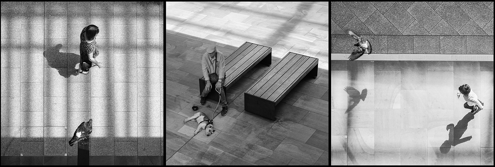 Panel Competition_Mathew Lodge_Westgate Moments_Second Place.jpg