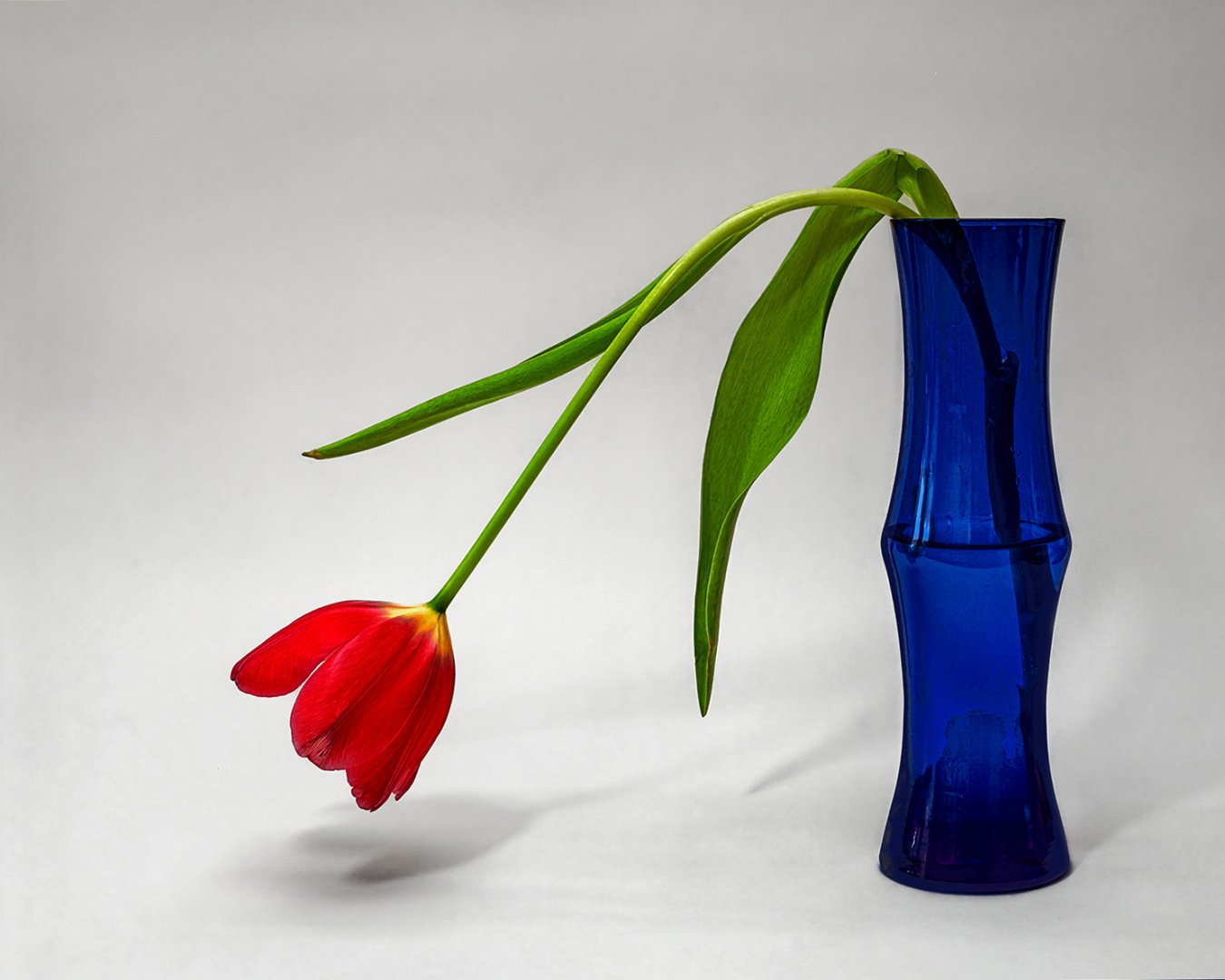 Ian Bray_R-G-Bargy_Commended_DPI 3 2025-2026.jpg