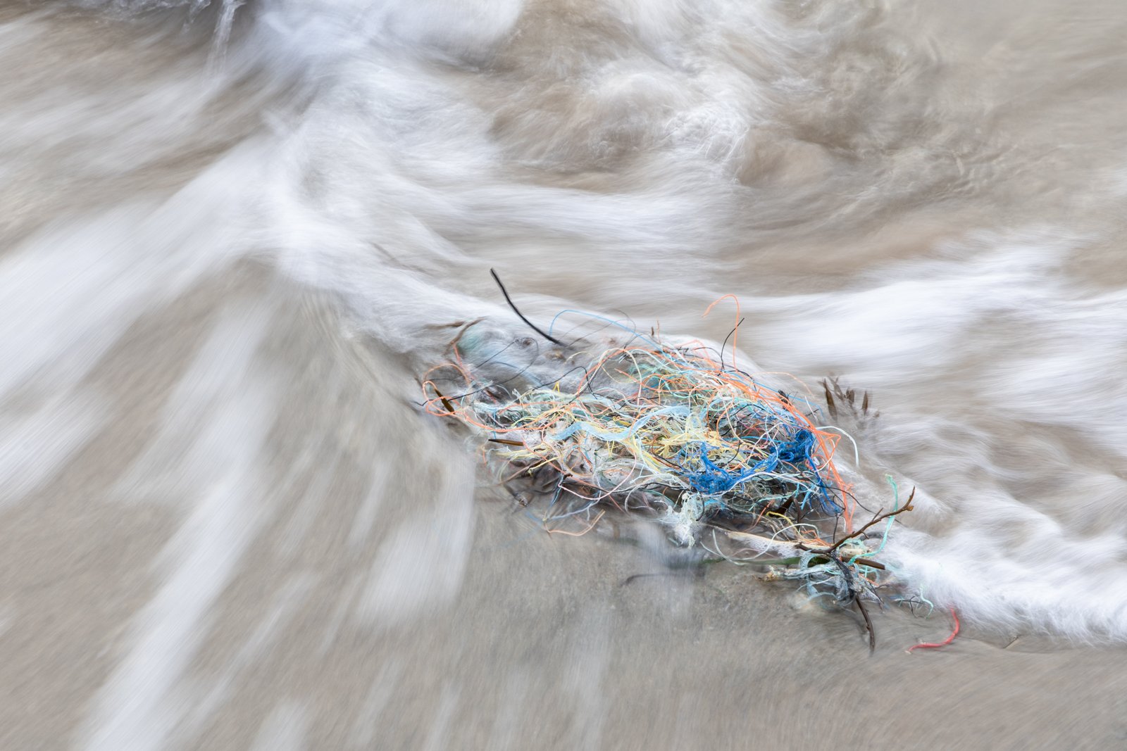 The Incoming Tide, Jill Bain.jpg