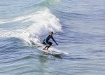 Alan_Lewis_Surfer.jpg