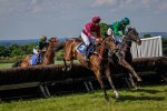 Dave_Belcher_Point-To-Point-Kimblewick.jpg