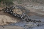 Helen_Stewart_Crossing-the-Mara-River.jpg