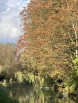 Helen_Stewart_Happy-place.jpg