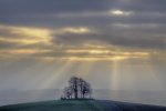 John_Boteler_BRIGHT-HAMPTON-STAND-DAWN.jpg