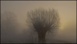 John_Boteler_WINTER-DAWN.jpg
