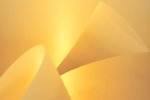 John_Bull_Yellow.jpg