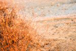 Sandra_Newton_Sunset-in-Cappadocia.jpg