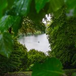 Mike_Ashcroft_Paddleboarding On Blenheim Lake.jpg
