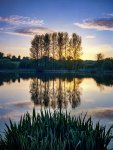 Ian_Bray_Poplar Pond Sunset.jpg