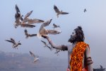 A 02 Sadu Varanasi Dave McKay.jpg