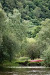 D 05 The Red Dinghy in the Woods Jill Bain.jpg