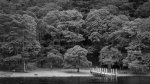 E 05 Woodland Pier Jill Bain.jpg