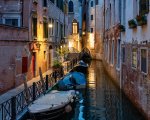 William Hall Venice Evening.jpg